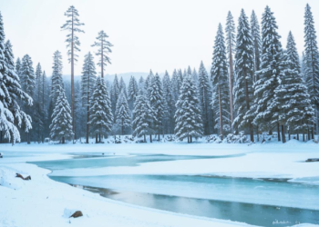 Гидрометцентр: климатическая зима наступит в Рязанской области 4 декабря