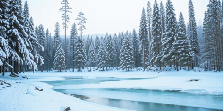 Гидрометцентр: климатическая зима наступит в Рязанской области 4 декабря Гидрометцентр: климатическая зима наступит в Рязанской области 4 декабря