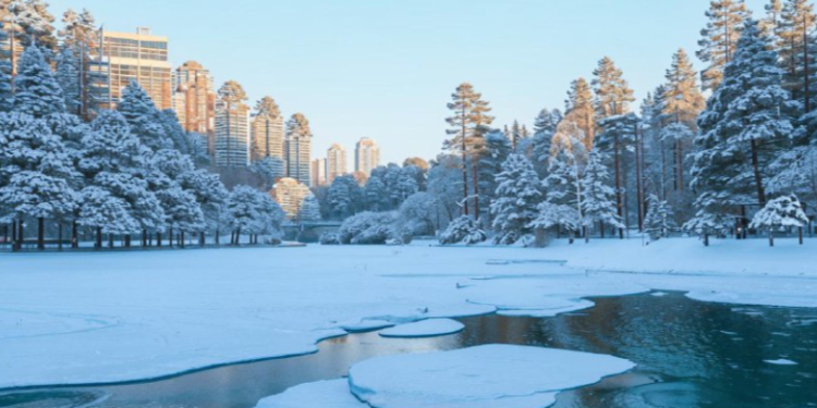 Тишковец: зима в Центральной России будет на несколько градусов теплее климатической нормы