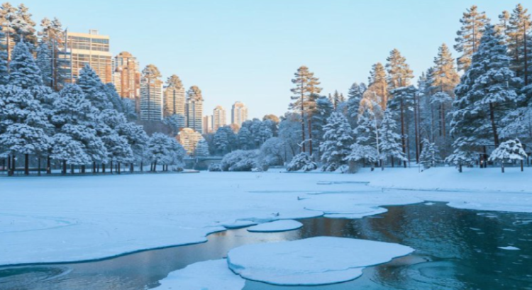 Тишковец: зима в Центральной России будет на несколько градусов теплее климатической нормы