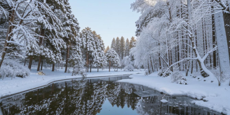 Синоптик Ильин: в новогоднюю ночь в Центральной России ожидается до -10 градусов