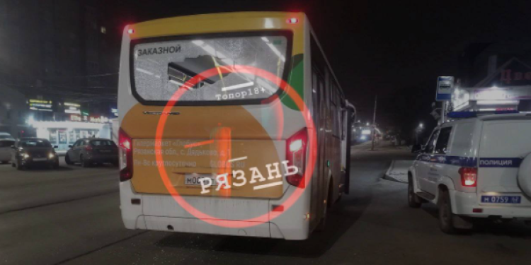 Рязанские подростки обстреляли из пневматики автобус