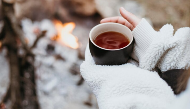 Метеоролог Вильфанд спрогнозировал теплую зиму в Центральной России