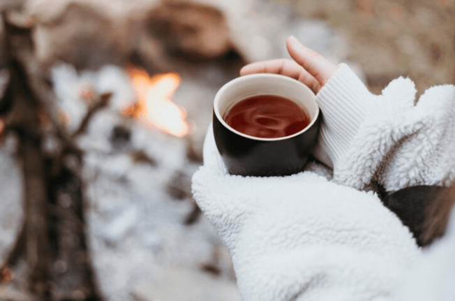 Метеоролог Вильфанд спрогнозировал теплую зиму в Центральной России