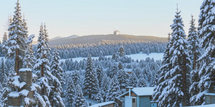 В ночь на четверг в Рязанской области похолодает до -7 градусов