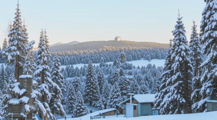 В ночь на четверг в Рязанской области похолодает до -7 градусов