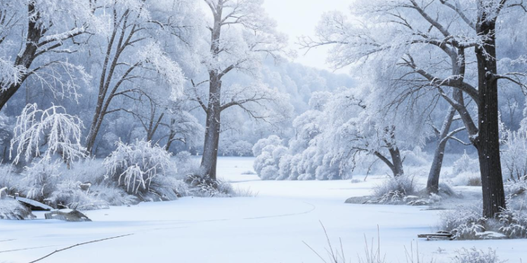 Синоптик Позднякова: в выходные Центральную Россию накроет снегопад
