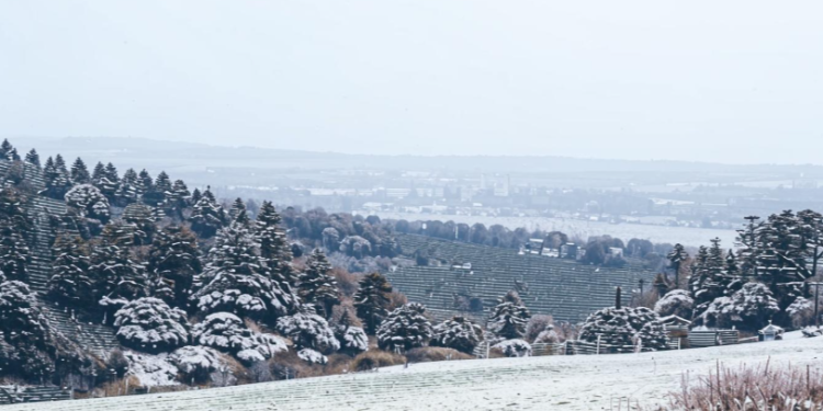 В ночь на пятницу в Рязанской области похолодает до -10 градусов