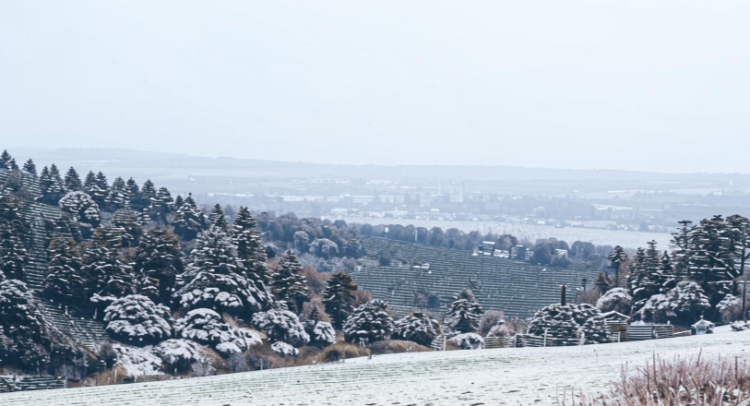 В ночь на пятницу в Рязанской области похолодает до -10 градусов