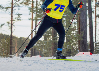 Шевченко и Лапытов примут участие в новогодней Гонке чемпионов в Рязани