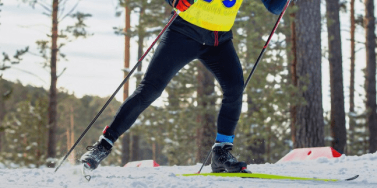 Шевченко и Лапытов примут участие в новогодней Гонке чемпионов в Рязани Шевченко и Лапытов примут участие в новогодней Гонке чемпионов в Рязани
