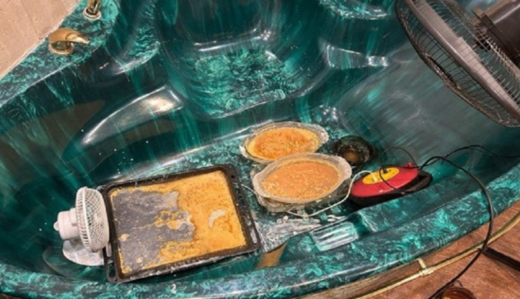 ФСБ обнаружило под Рязанью крупную нарколабораторию