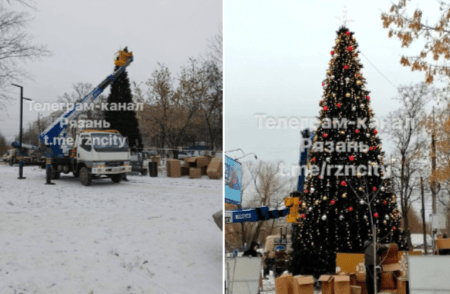 В рязанском сквере "Серая шейка" установили новогоднюю ель
