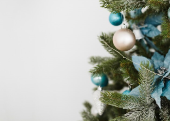 В рязанском сквере «Серая шейка» установили новогоднюю ель