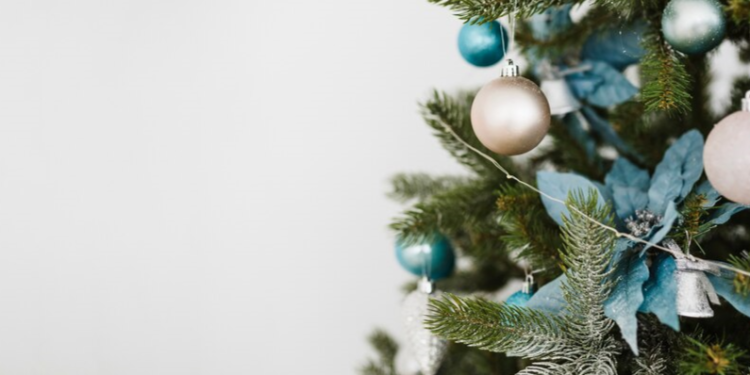 В рязанском сквере «Серая шейка» установили новогоднюю ель