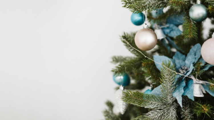 В рязанском сквере "Серая шейка" установили новогоднюю ель