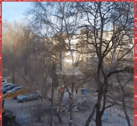Рязанка сообщила о спиле здоровых деревьев на улице Затинной