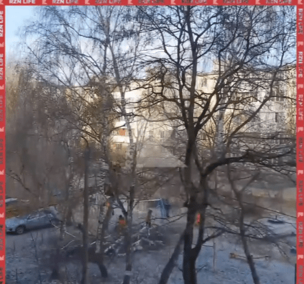 Рязанка сообщила о спиле здоровых деревьев на улице Затинной