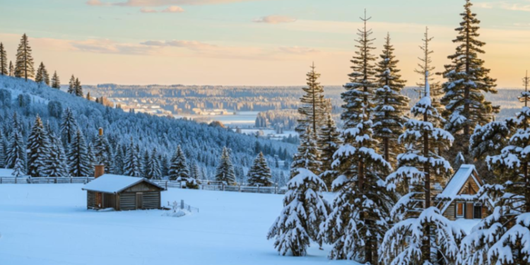 В среду в Рязанской области ожидается небольшой снег и до нуля градусов В среду в Рязанской области ожидается небольшой снег и до нуля градусов