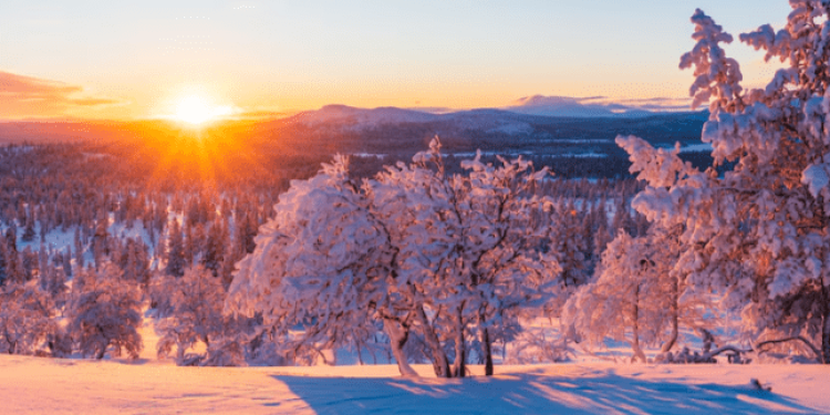 Леус: температура первой декады декабря в Центральной России оказалась выше нормы на 1,7 градуса