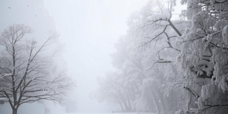 В четверг в Рязанской области ожидается метель и до -1 градуса