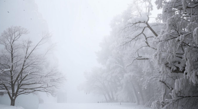 В четверг в Рязанской области ожидается метель и до -1 градуса