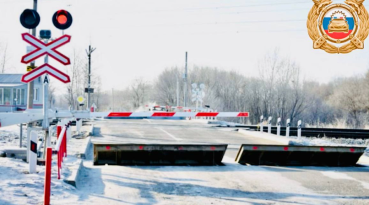 Рязанские полицейские проводят рейды на железнодорожных переездах 12 декабря