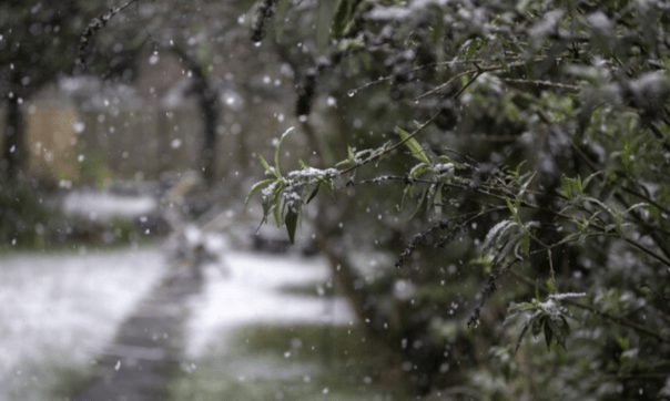 Рязанское МЧС выпустило метеопредупреждение из-за метели 13 декабря