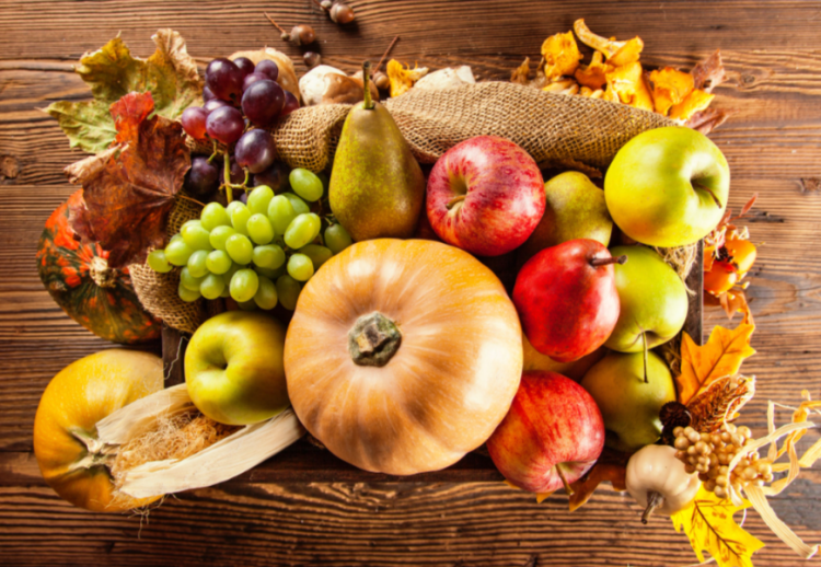 С начала года за незаконную торговлю в Рязани оштрафовали 2096 нарушителей