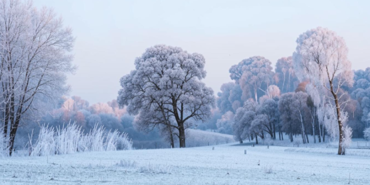 На следующей неделе в Рязанскую область придут 16-градусные морозы