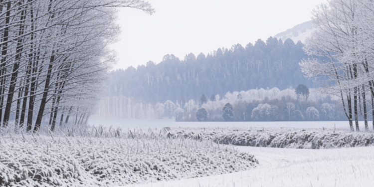 16 декабря в Рязанской области ожидается гололедица, метель и до нуля градуса