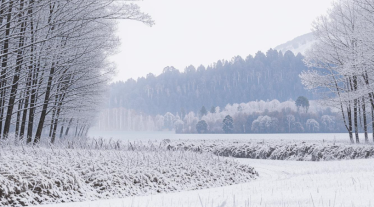 16 декабря в Рязанской области ожидается гололедица, метель и до нуля градуса