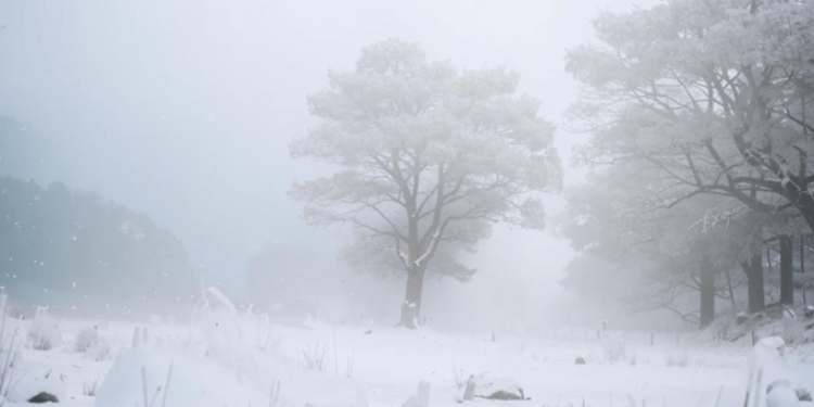 Метеоролог Степанов пообещал рязанцам новый снежный циклон