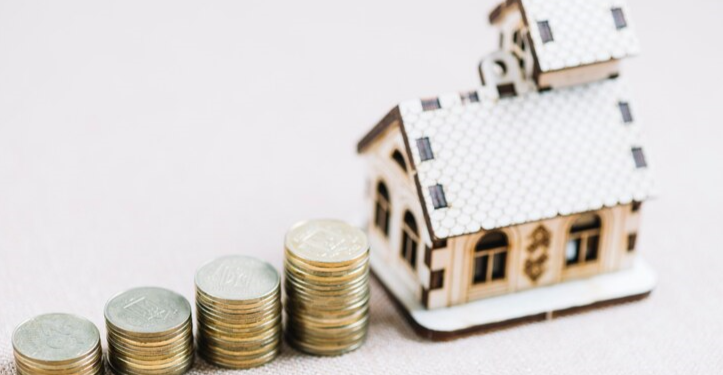 Профессор Финогенова: с 1 января 2025 года в России подорожают выписки из ЕГРН