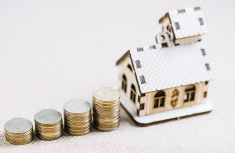 Профессор Финогенова: с 1 января 2025 года в России подорожают выписки из ЕГРН