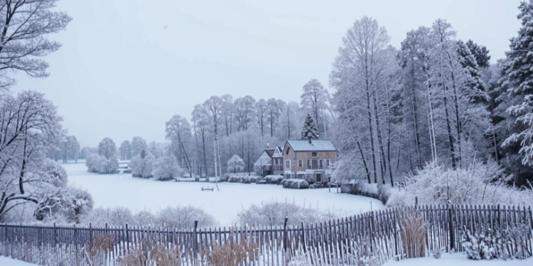 В среду в Рязанской области ожидается небольшой снег и до -11 градусов