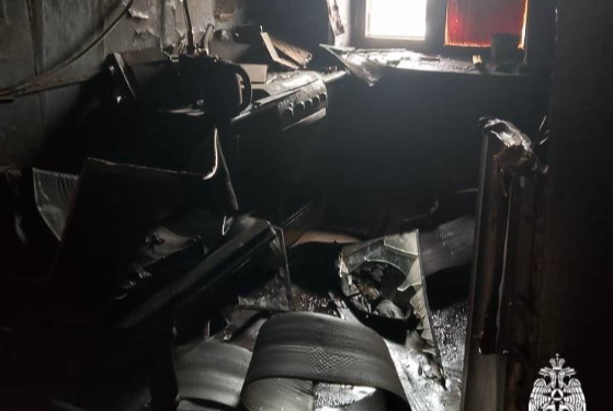 За сутки рязанские спасатели потушили два пожара в двух районах региона