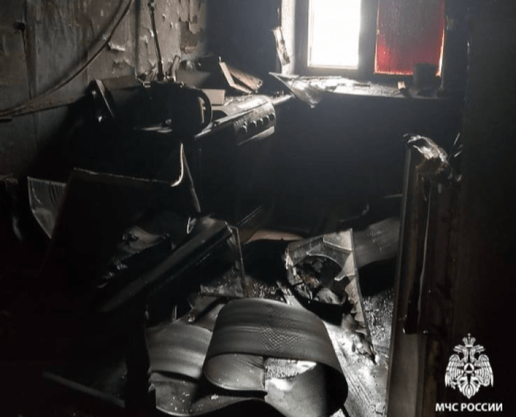 За сутки рязанские спасатели потушили два пожара в двух районах региона