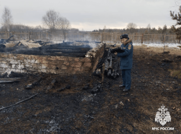 За сутки рязанские спасатели потушили два пожара в двух районах региона