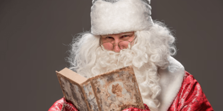 Резиденция Деда Мороза откроется в рязанском Лесопарке 20 декабря