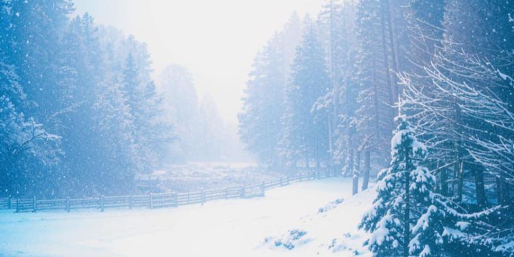 Вильфанд предупредил рязанцев о наступлении аномальных холодов 18 и 19 декабря