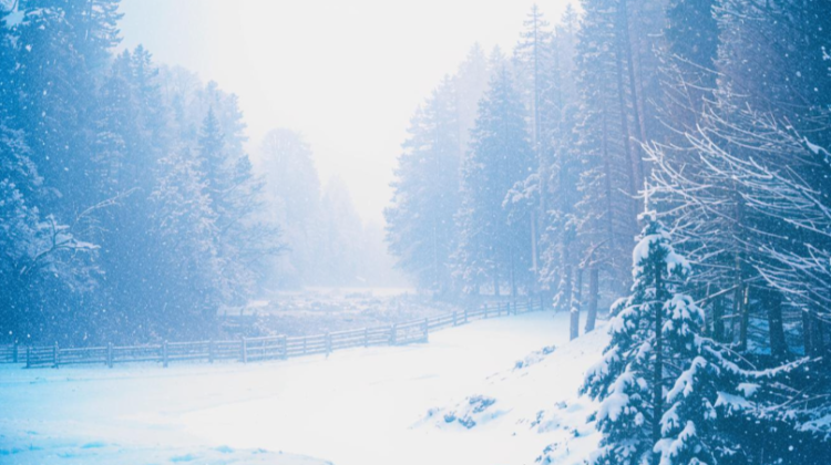 Вильфанд предупредил рязанцев о наступлении аномальных холодов 18 и 19 декабря