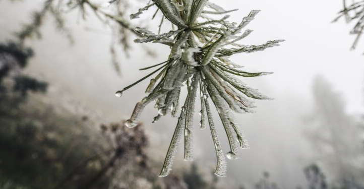 В пятницу в Рязанской области потеплеет до +3 градусов