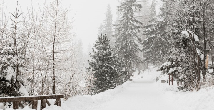 Рязанцев предупредили о ледяной дожде, мокром снеге и тумане 20 декабря