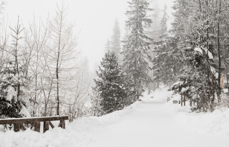 Рязанцев предупредили о ледяной дожде, мокром снеге и тумане 20 декабря