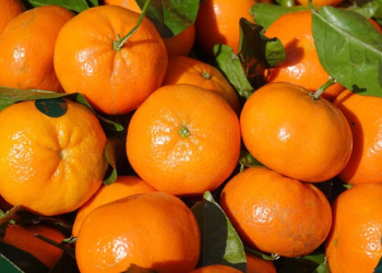 С начала 2024 года в Рязани за незаконную торговлю оштрафовали 2181 нарушителя С начала 2024 года в Рязани за незаконную торговлю оштрафовали 2181 нарушителя