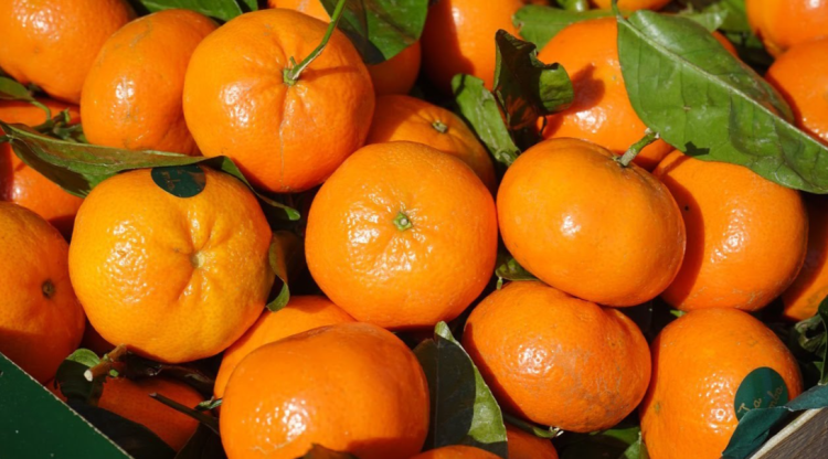 С начала 2024 года в Рязани за незаконную торговлю оштрафовали 2181 нарушителя