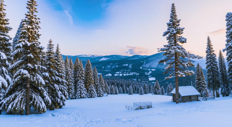 Синоптик Паршина: предновогодняя неделя в Центральной России будет теплой