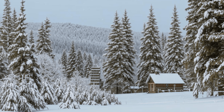 Во вторник в Рязанской области потеплеет до +2 градусов