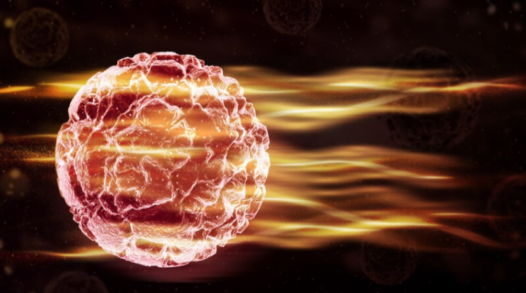 Россиян предупредили о магнитной буре 25 декабря